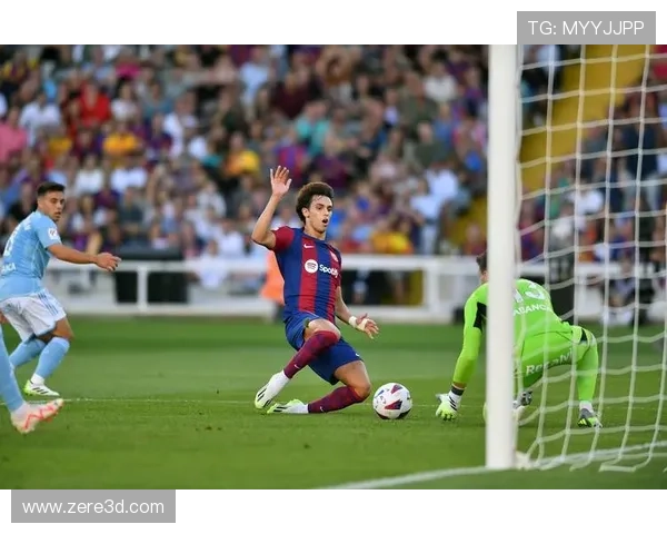 23位足球明星的精彩瞬间与魅力风采全景展示